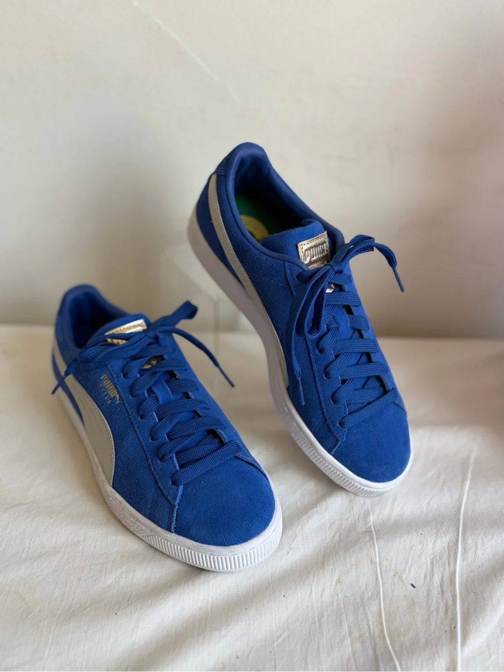 PUMA Suede Classic Pastime Surf The Web Blue Suede Low Top Blue/White 387060-02